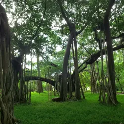 Theosophical Society - Chennai