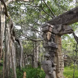 Theosophical Society - Chennai