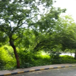 Ajanta Caves - Chhatrapati Sambhajinagar