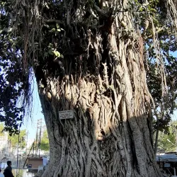 Panchakki - Chhatrapati Sambhajinagar