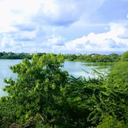 Salim Ali Lake and Bird Sanctuary - Chhatrapati Sambhajinagar