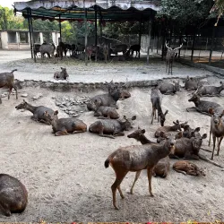 Siddharth Garden and Zoo - Chhatrapati Sambhajinagar