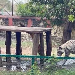 Siddharth Garden and Zoo - Chhatrapati Sambhajinagar