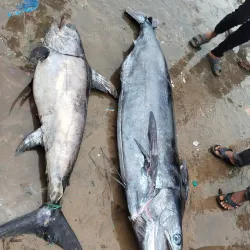 Chirala Beach - Chirala