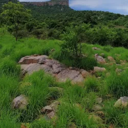 Nagari Hills - Chittoor
