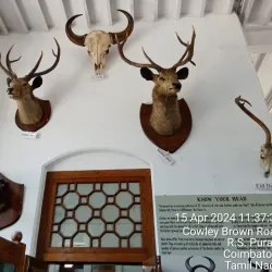 Gass Forest Museum - Coimbatore