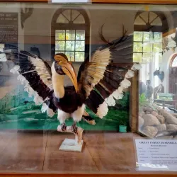 Gass Forest Museum - Coimbatore