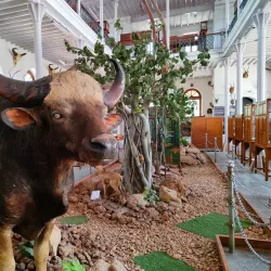 Gass Forest Museum - Coimbatore