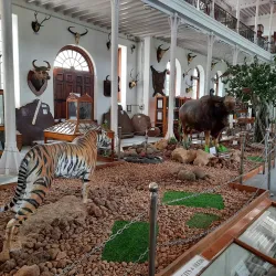 Gass Forest Museum - Coimbatore
