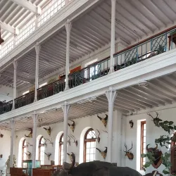 Gass Forest Museum - Coimbatore