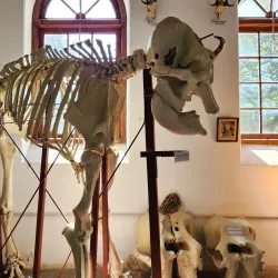 Gass Forest Museum - Coimbatore