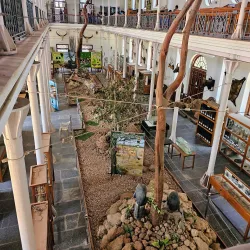 Gass Forest Museum - Coimbatore