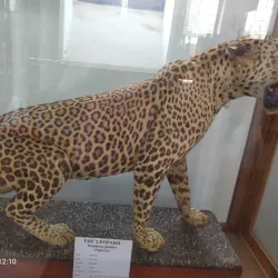 Gass Forest Museum - Coimbatore