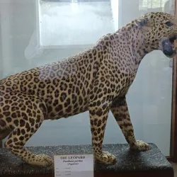 Gass Forest Museum - Coimbatore