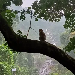 Siruvani Waterfalls and Dam - Coimbatore