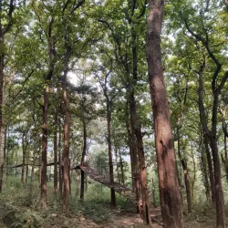 Siruvani Waterfalls and Dam - Coimbatore