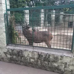 VOC Park and Zoo - Coimbatore