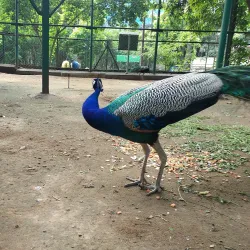 VOC Park - Coimbatore