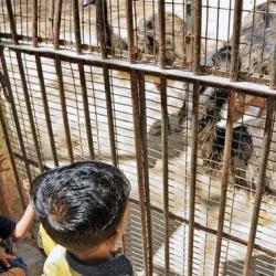 VOC Park - Coimbatore