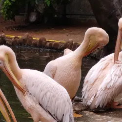 VOC Park - Coimbatore