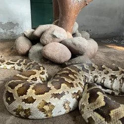 VOC Park - Coimbatore