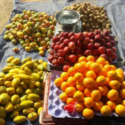 Cumbum Market - Cumbum