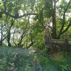 Cumbum Valley - Cumbum
