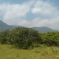 Cumbum Valley - Cumbum