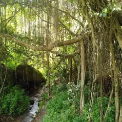 Cumbum Valley - Cumbum