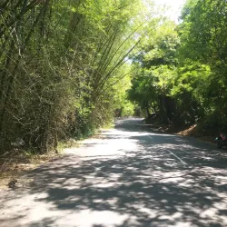 Cumbum Valley - Cumbum