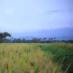 Cumbum Valley - Cumbum