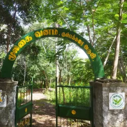 Kumbakarai Falls - Cumbum
