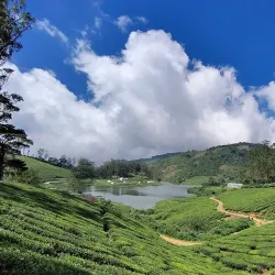 Meghamalai Hills - Cumbum