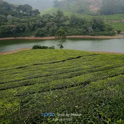 Meghamalai Hills - Cumbum