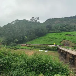 Meghamalai Hills - Cumbum