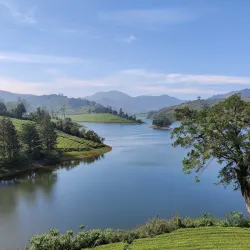 Meghamalai Hills - Cumbum