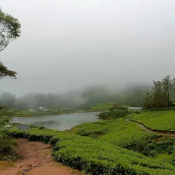 Meghamalai Hills - Cumbum