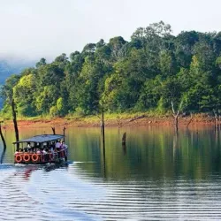 Periyar Wildlife Sanctuary - Cumbum