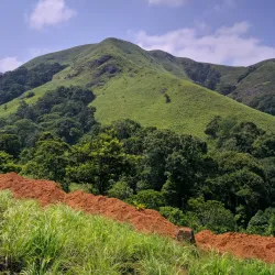 Periyar Wildlife Sanctuary - Cumbum