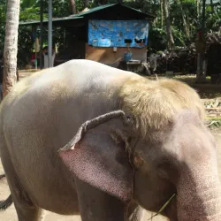 Periyar Wildlife Sanctuary - Cumbum