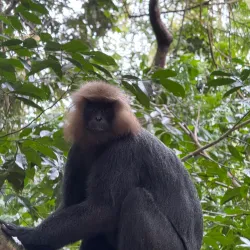 Periyar Wildlife Sanctuary - Cumbum