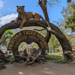 Periyar Wildlife Sanctuary - Cumbum