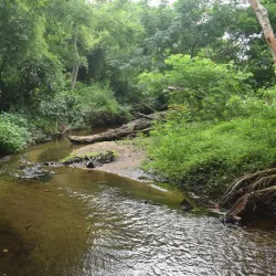 Suruli Falls - Cumbum