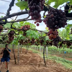 Theni District Museum - Cumbum