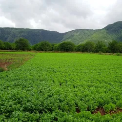 Theni District Museum - Cumbum