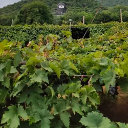 Theni District Museum - Cumbum