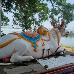 Dhabaleswar Island and Temple - Cuttack