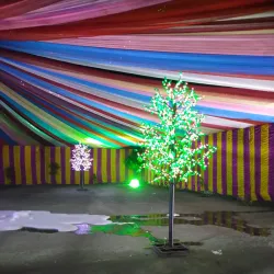 Community Cultural Hall - Dasghara