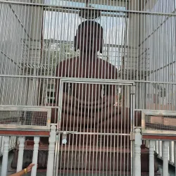 Jain Temple Complex - Datia