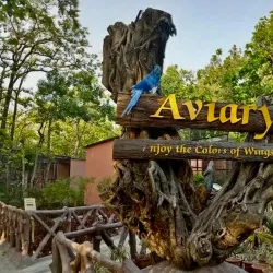 Malsi Deer Park - Dehradun